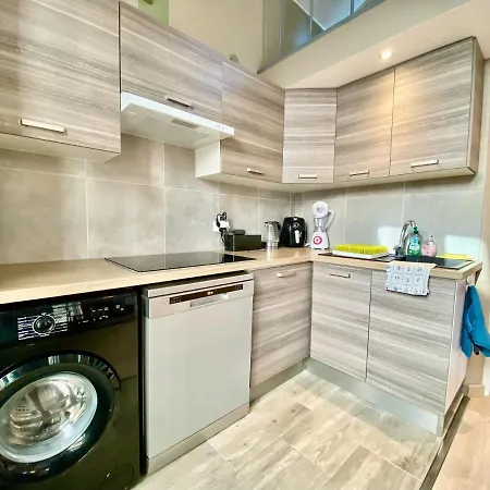 Lovely & Sunny Loft Heart Of With A/c! Appartement Nice